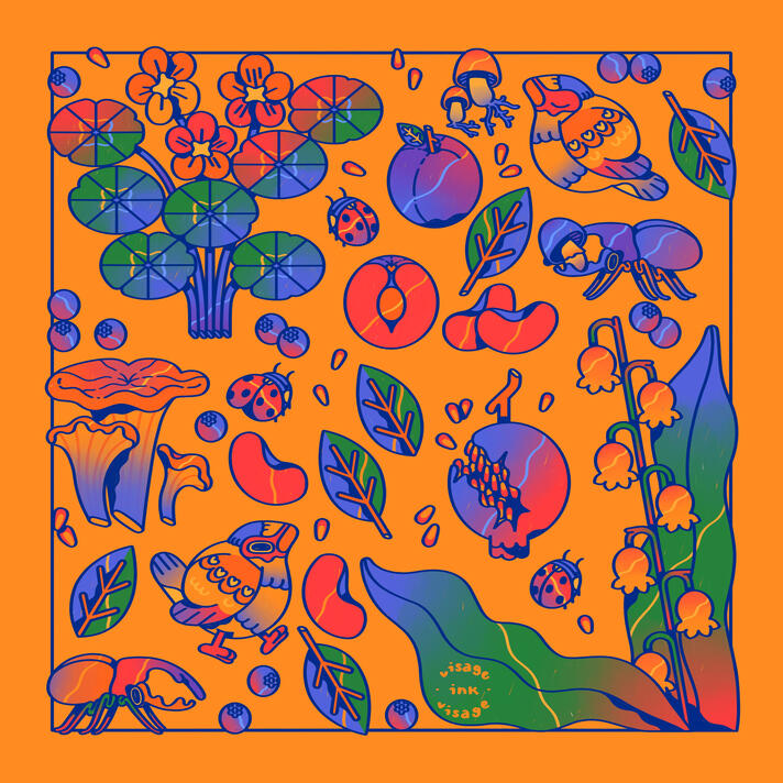 A compilation of plums, blueberries, nasturtium, pomegranate seeds, ladybugs, sparrows, beetles, fungi, and lily of the valley.